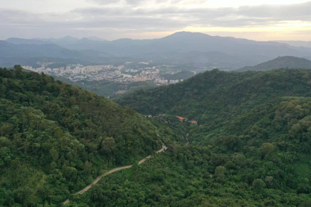 雨林天路骑行指南丨畅骑五指山浩瀚体育趣享雨林路(图5)