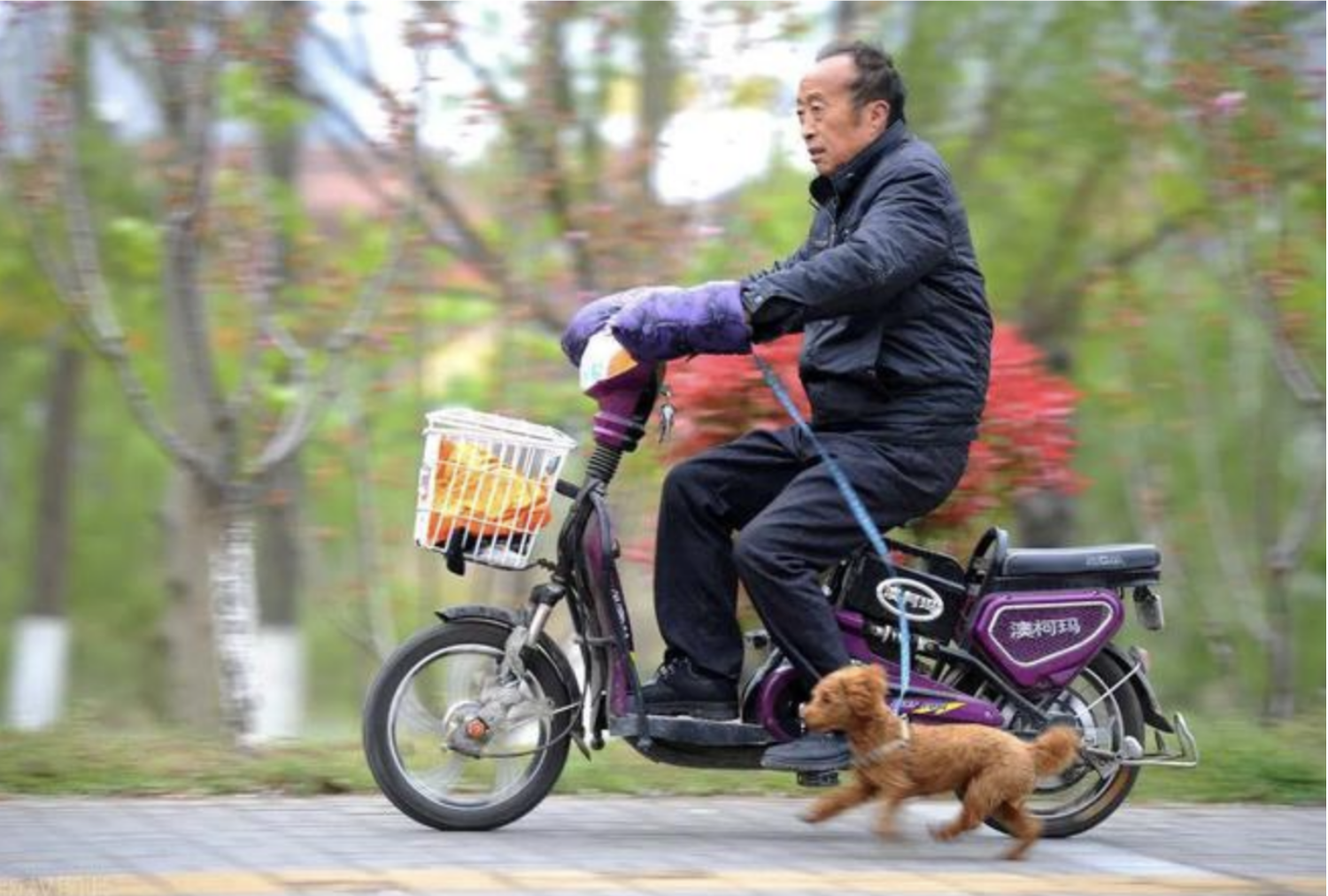 电动自行车的骑行年浩瀚体育app下载龄要求(图1)