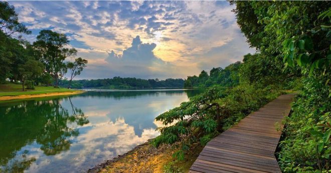 浩瀚体育欣赏滨海美景、看恐龙乐园、丛林山地探险新加坡绝美骑行路线拿走不谢(图10)