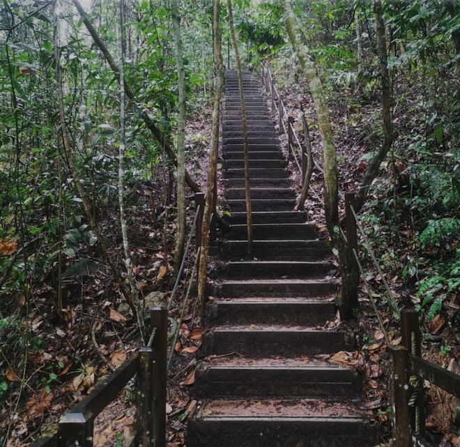 浩瀚体育欣赏滨海美景、看恐龙乐园、丛林山地探险新加坡绝美骑行路线拿走不谢(图12)