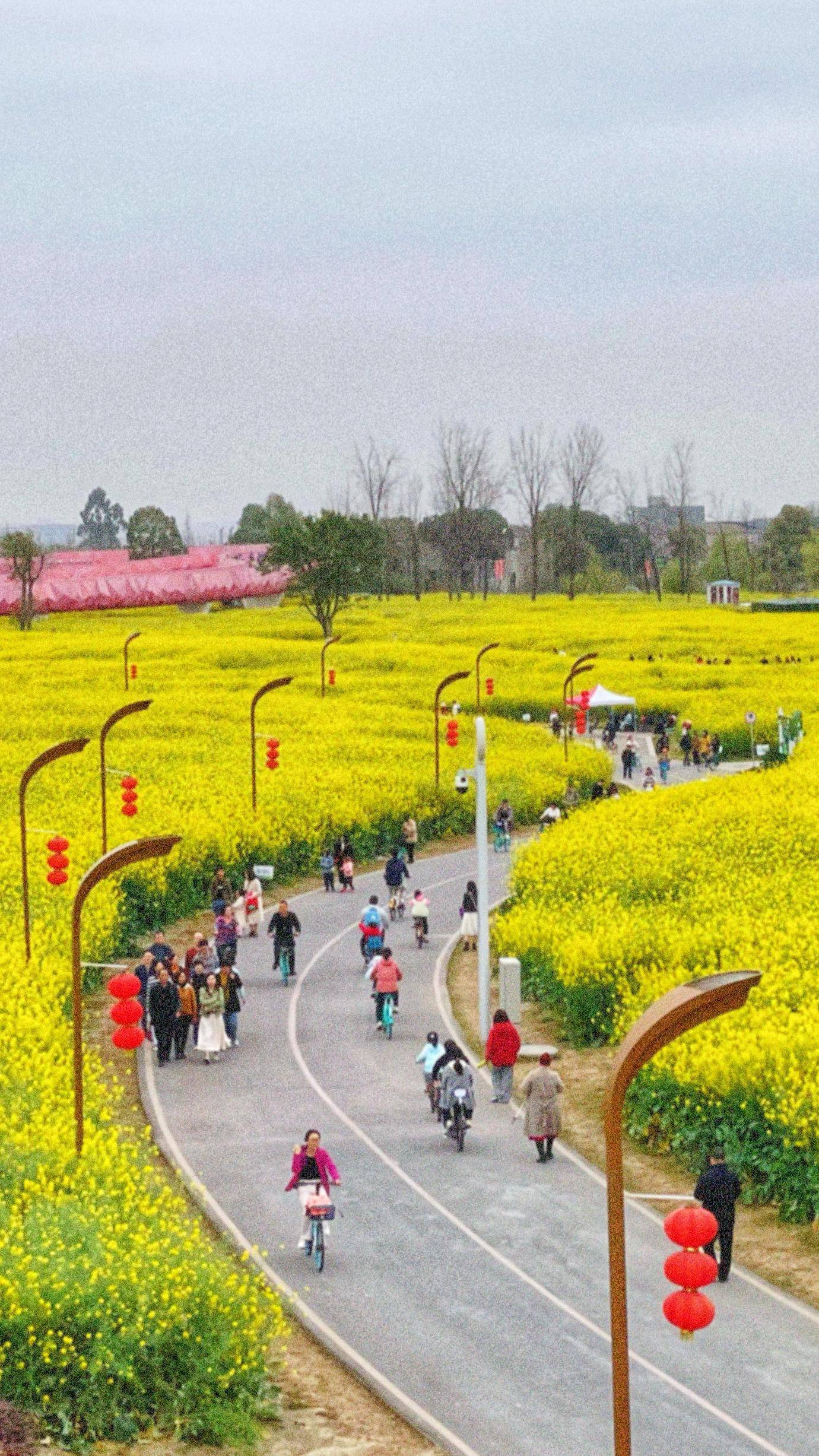 浩瀚体育户外踏青赏花正当时 带火骑行、咖啡、旅拍经济(图6)