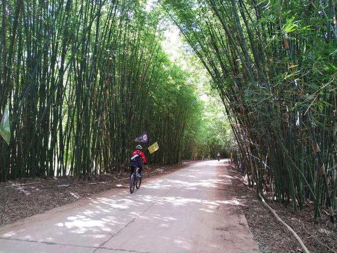 浩瀚体育平台骑行重视程度和效果成正比——让你的骑行之旅更加精彩(图2)