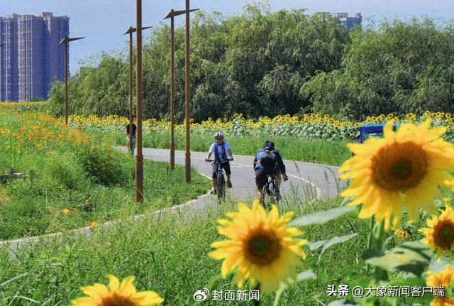 浩瀚体育折叠自行车拒绝搭乘？成都地铁：以行李方式规范打包可携带(图1)